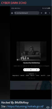 CYBER DARK ECHO targets the website of Hulu Sungai Tengah Regency Government Indonesia-xLab 威胁情报