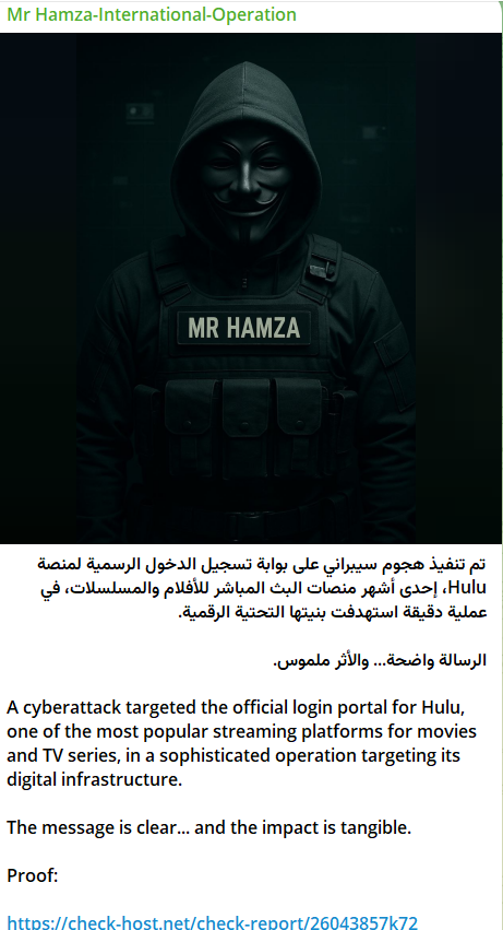 Mr Hamza瞄准Hulu登录页面的网站-xLab 威胁情报
