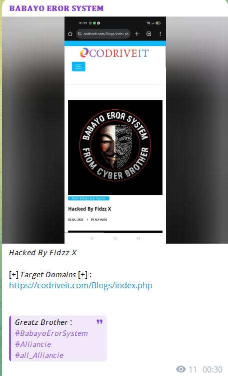 BABAYO EROR SYSTEM瞄准CoDriveIT网站-xLab 威胁情报