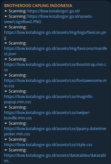 Dark Storm Team targets multiple domains of Indonesia's Bogor Single Window-xLab 威胁情报