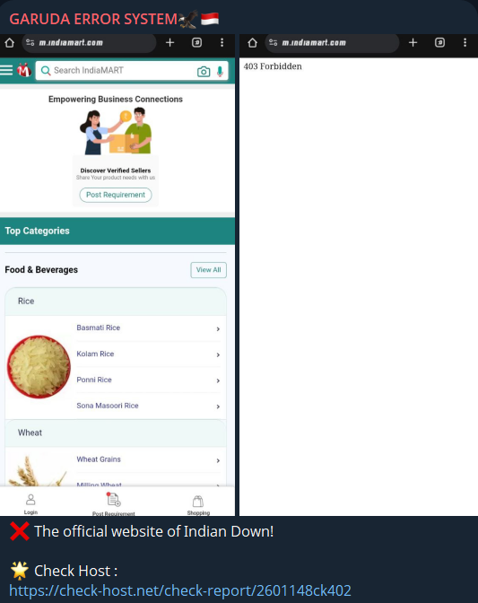 GARUDA ERROR SYSTEM瞄准IndiaMART InterMESH Limited网站-xLab 威胁情报