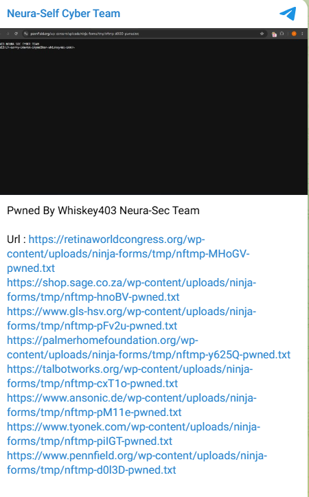 Neura Self Cyber Team targets the website of ansonic Funk- und Antriebstechnik GmbH-xLab 威胁情报