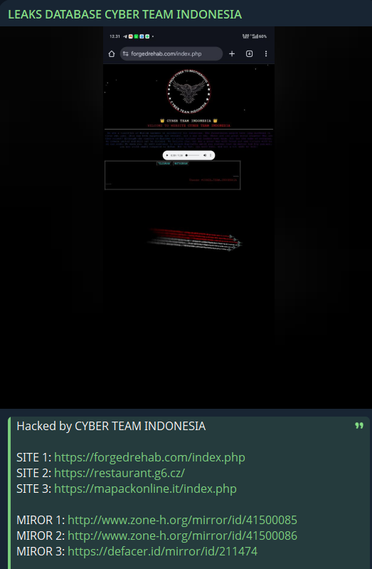 泄露数据库CYBER TEAM INDONESIA瞄准伪造康复中心网站-xLab 威胁情报