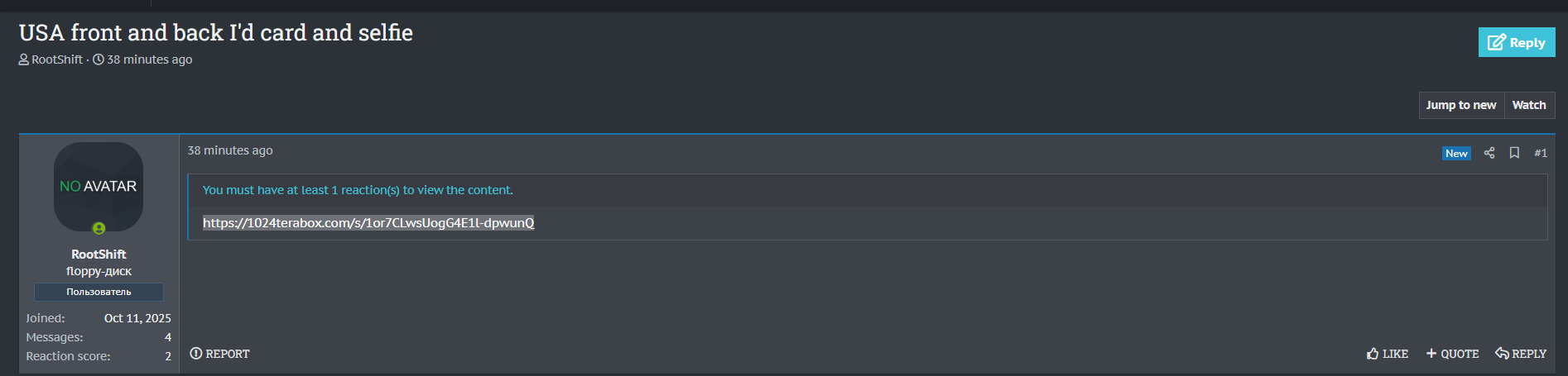 涉嫌泄露美国正面和背面身份证和自拍-xLab 威胁情报