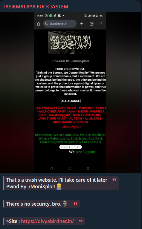 打横他妈的SYSTEM瞄准Divya Bird Net网站-xLab 威胁情报