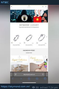NTSEC针对Skymond Luxury网站-xLab 威胁情报