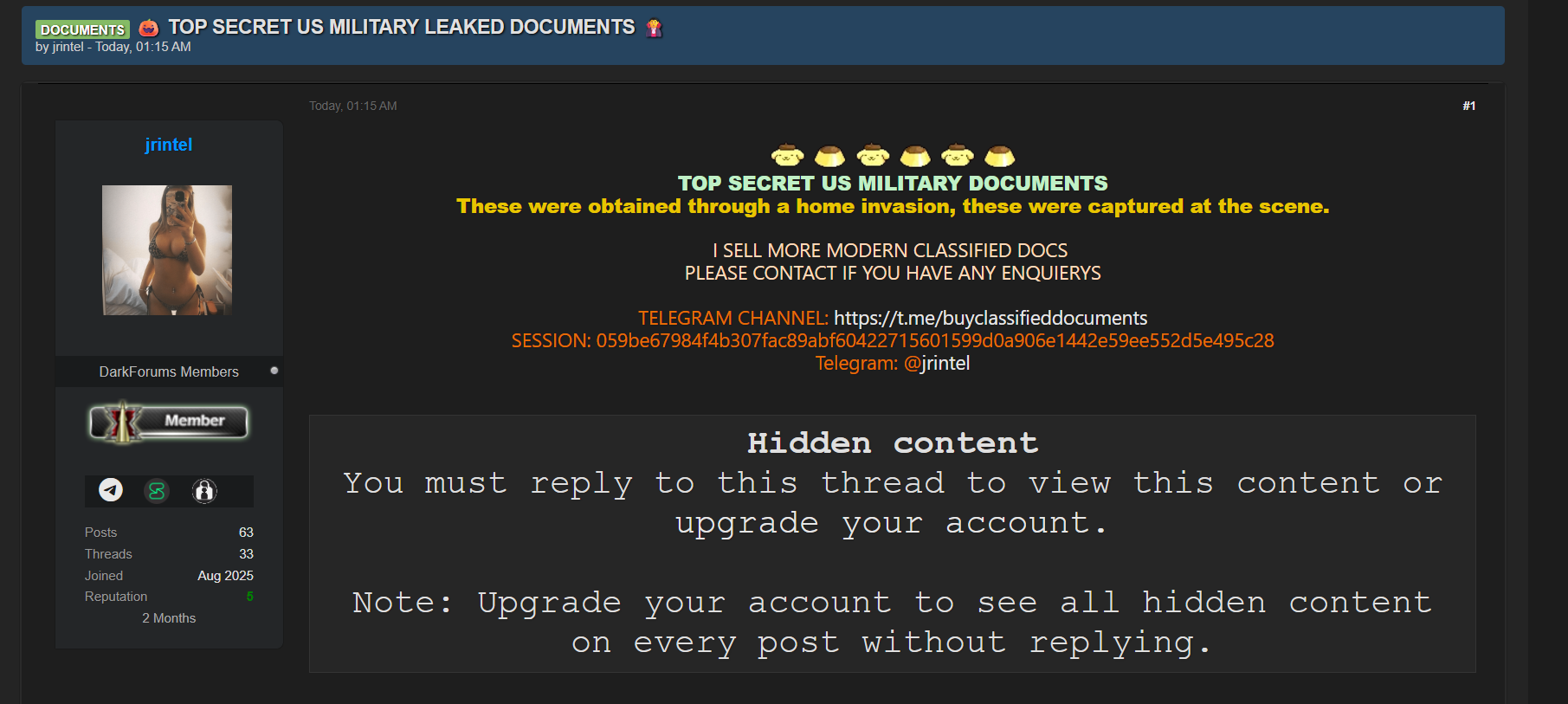 涉嫌出售美军泄密文件-xLab 威胁情报