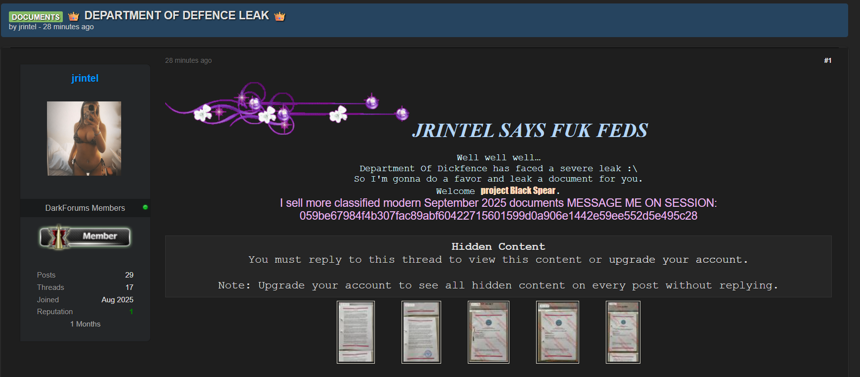 涉嫌数据外泄美国。陆军部-xLab 威胁情报
