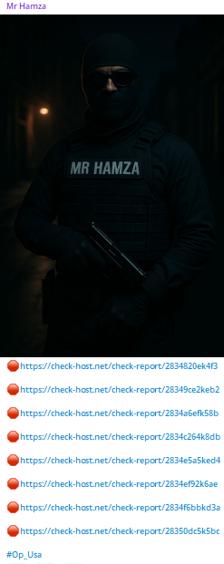 Mr Hamza瞄准Collins Aerospace网站-xLab 威胁情报