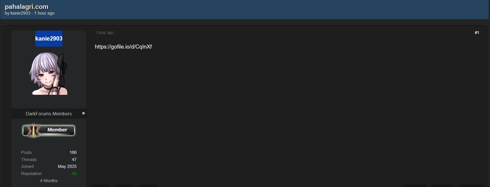 Pahal Agri India Private Limited涉嫌数据外泄-xLab 威胁情报