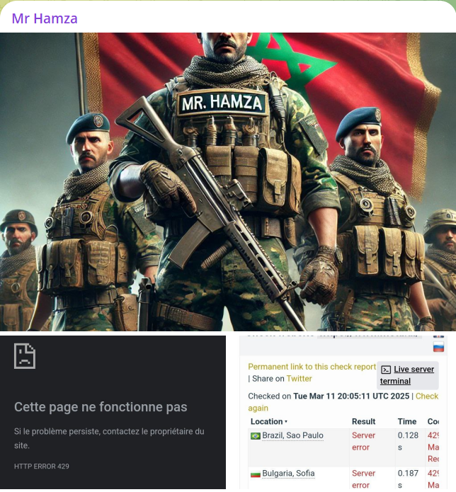 Mr Hamza瞄准Meta AI网站-xLab 威胁情报