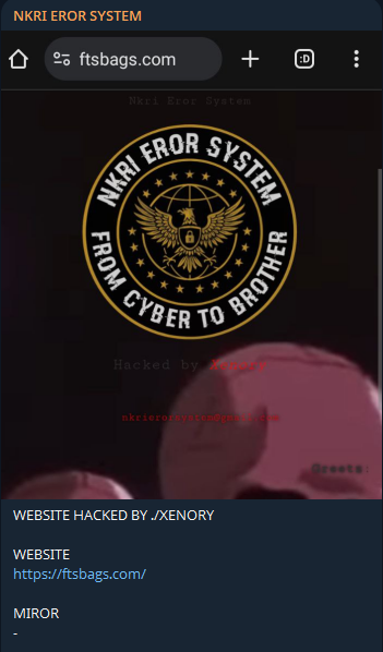 NKRI EROR SYSTEM瞄准FTS Bags网站-xLab 威胁情报
