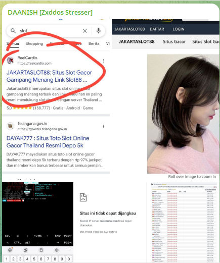Zxddos Stresser针对ReelCardio网站-xLab 威胁情报