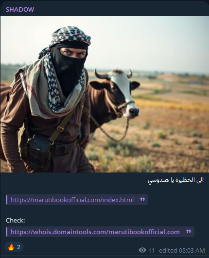 SHADOW瞄准马鲁蒂图书网站-xLab 威胁情报