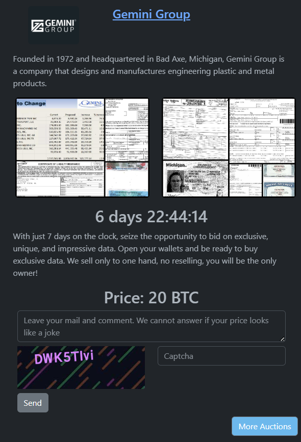 Gemini Group成为RHYSIDA勒索软件的受害者-xLab 威胁情报