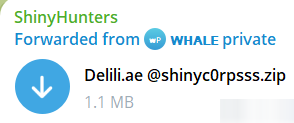 Alleged data leak of delili-xLab 威胁情报