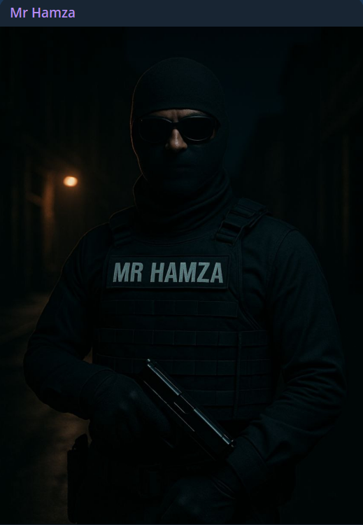 Mr Hamza瞄准内华达山脉公司（SNC）网站-xLab 威胁情报