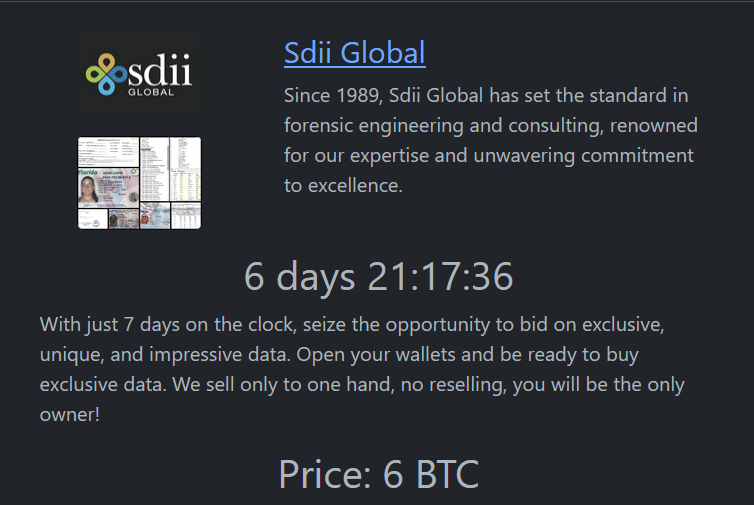 Sdii Global成为RHYSIDA勒索软件的受害者-xLab 威胁情报
