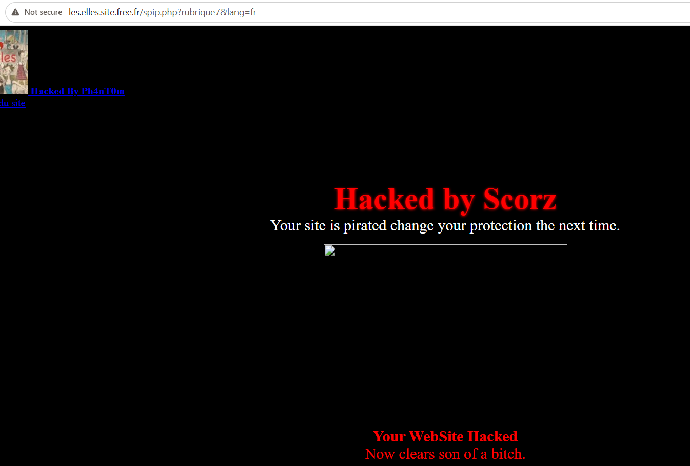 Scorz targets the website of Les Elles-xLab 威胁情报
