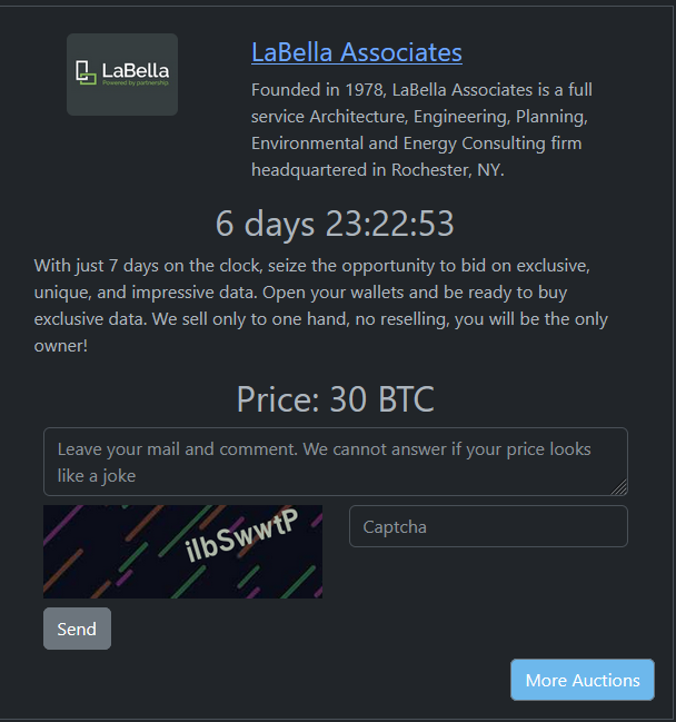LaBella Associates成为RHYSIDA勒索软件的受害者-xLab 威胁情报