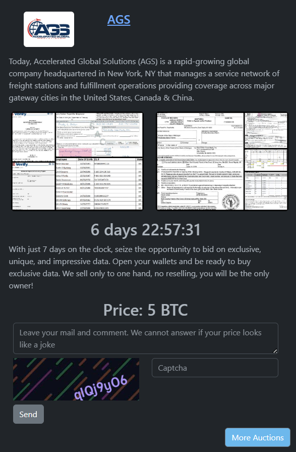 加速全球解决方案成为Rhysida勒索软件的受害者-xLab 威胁情报