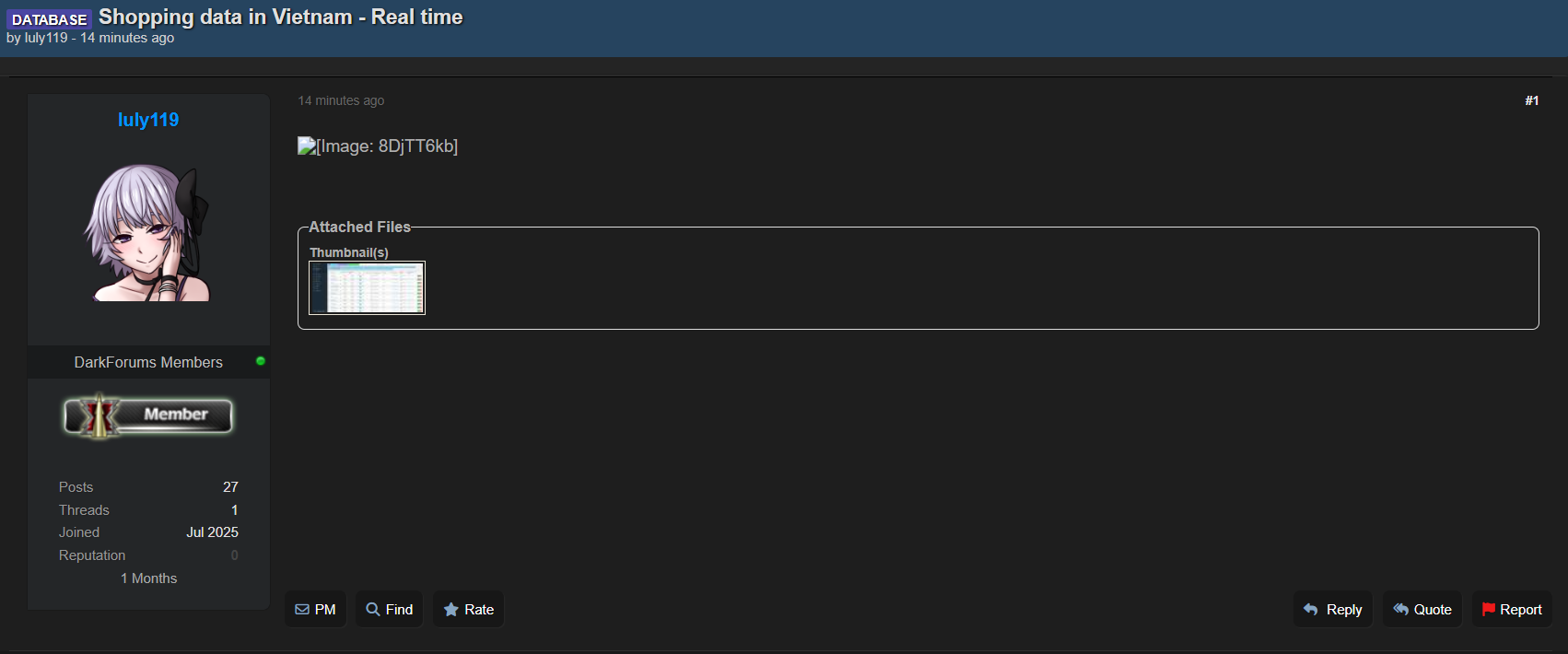 涉嫌出售越南购物数据库-xLab 威胁情报